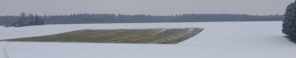 schneebedeckter Acker bei Rindenmoos