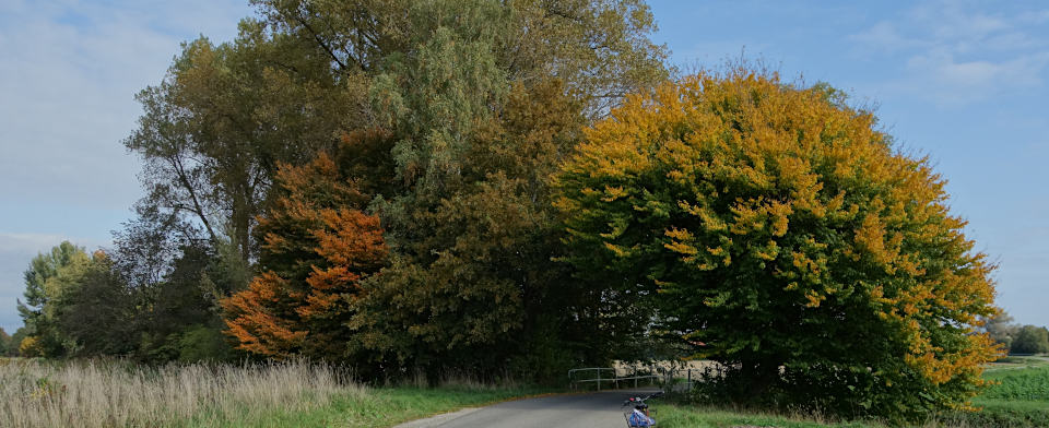 Herbst bei Warthausen