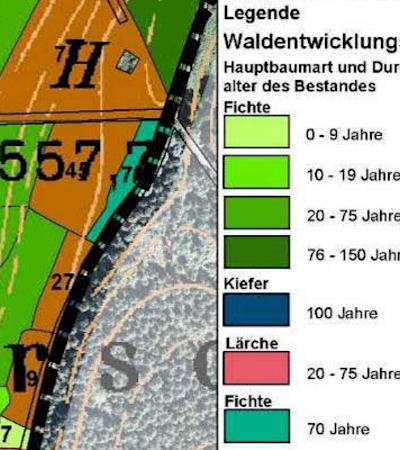 Karte Waldentwicklung