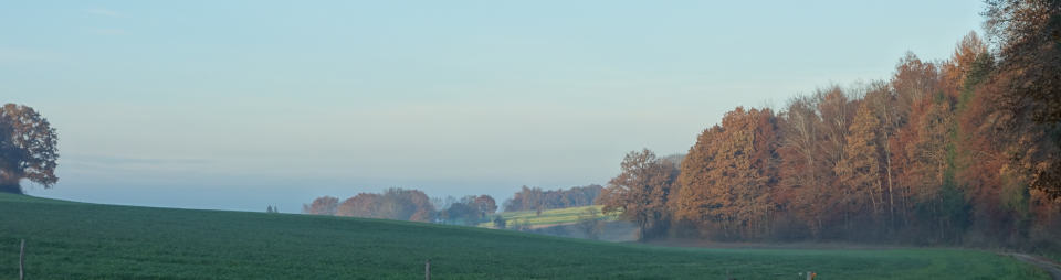 Waldrand bei Aepfingen.jpg