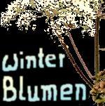 Winterblumen