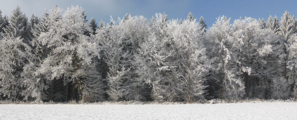 Winter-2017-bei-Deggendorf